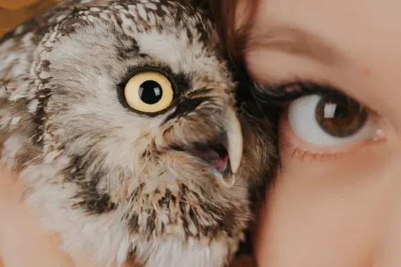 Casino Lucky Tiger Kundeservice